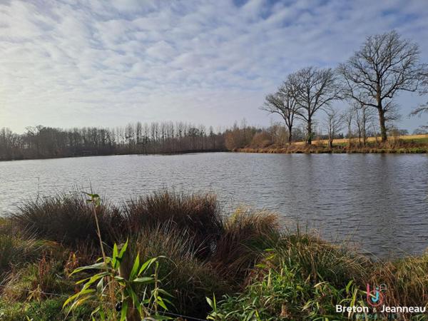 Plan d'eau de 2ha50, prairie et bois le tout sur 6ha environ à Juvigné