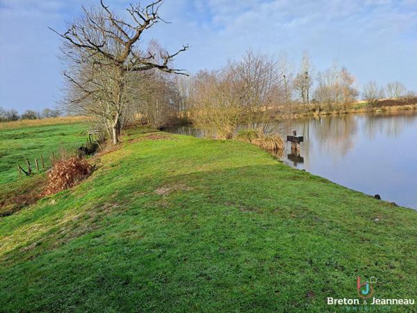 Plan d'eau de 2ha50, prairie et bois le tout sur 6ha environ à Juvigné
