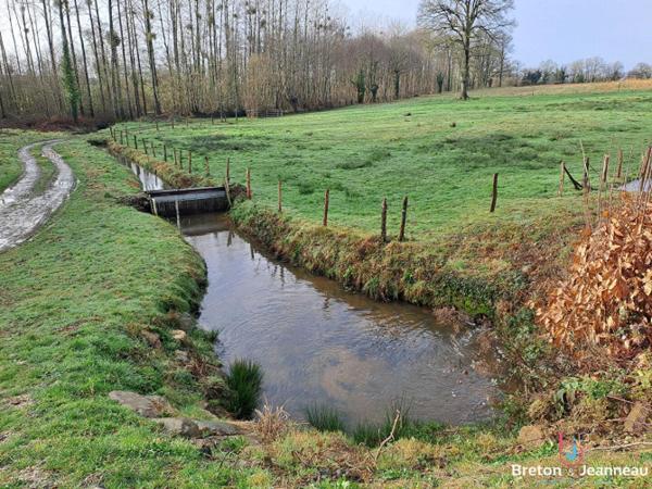 Plan d'eau de 2ha50, prairie et bois le tout sur 6ha environ à Juvigné