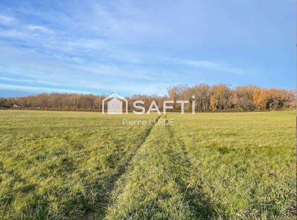 Terrain agricole plat et irrigué de 12,5 hectares