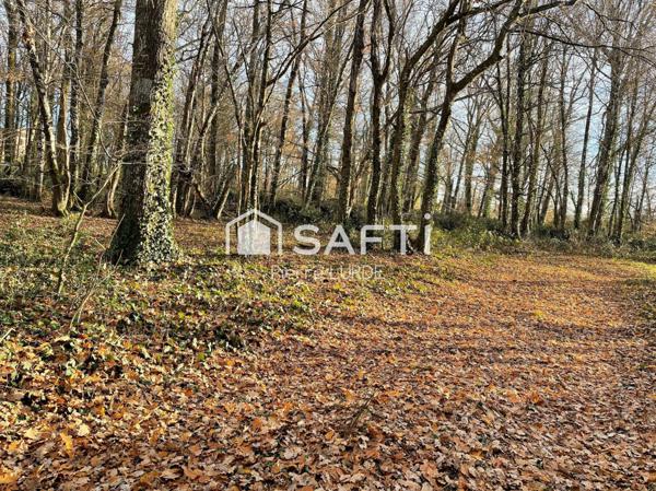 Terrain agricole plat et irrigué de 12,5 hectares