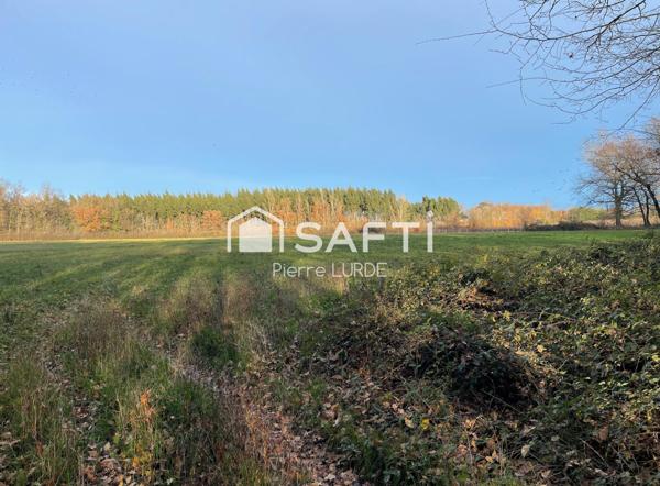 Terrain agricole plat et irrigué de 12,5 hectares