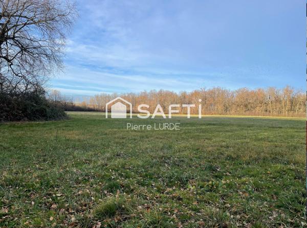 Terrain agricole plat et irrigué de 12,5 hectares