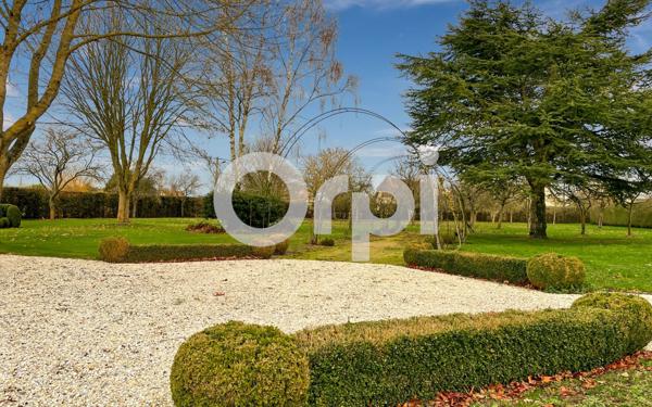 Maison à vendre    6 pièces • 236,50 m2 Sacquenville