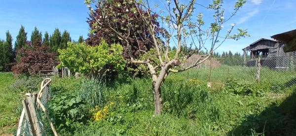 Vente / Maison ancienne