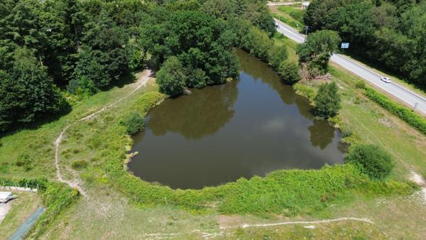 Terrains à vendre de 3 hectares au Faouët - Opportunité rare