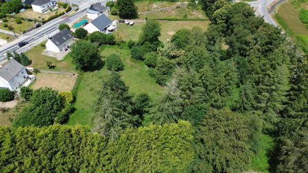 Terrains à vendre de 3 hectares au Faouët - Opportunité rare