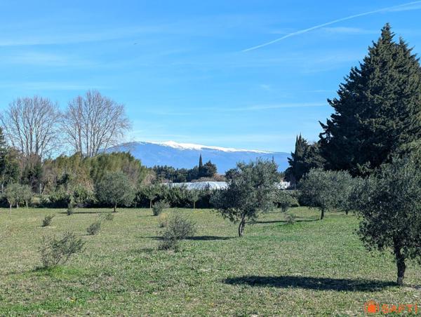 Domaine d’exception avec vue sur le Mont Ventoux