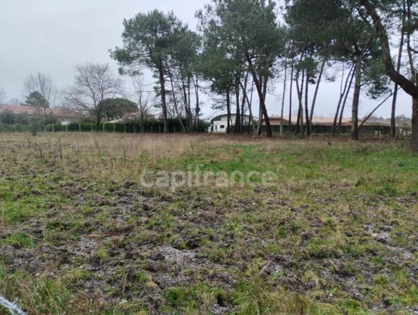 Terrain à vendre SAINT AUBIN DE MEDOC (33)