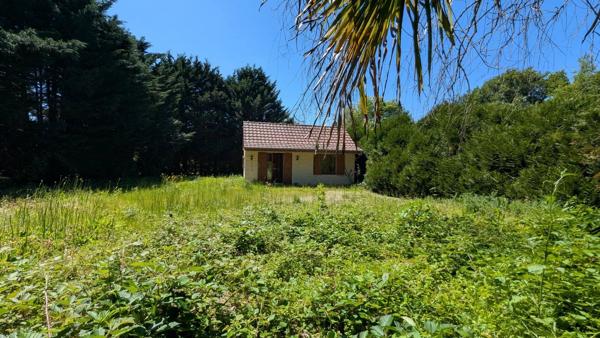 Vente                                                      Maison de village
                        
                     2 pièces                      47 m2                     à Aubigny-sur-Nère