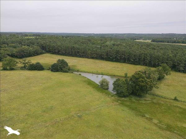 Maison à vendre |  Montguyon |  5 pièces | 110 m²