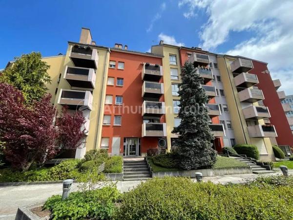 Location de vacances                                                      Appartement
                        
                     2 pièces                      35 m2                     à Belfort