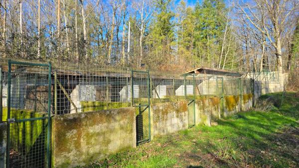 TERRAIN DE LOISIR AVEC CABANON + CHENIL 10 BOXES