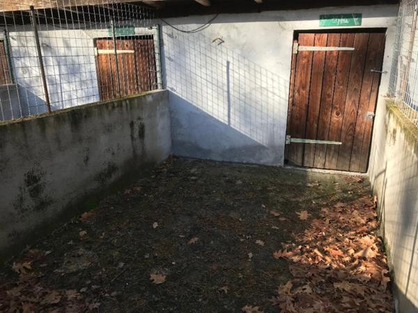 TERRAIN DE LOISIR AVEC CABANON + CHENIL 10 BOXES