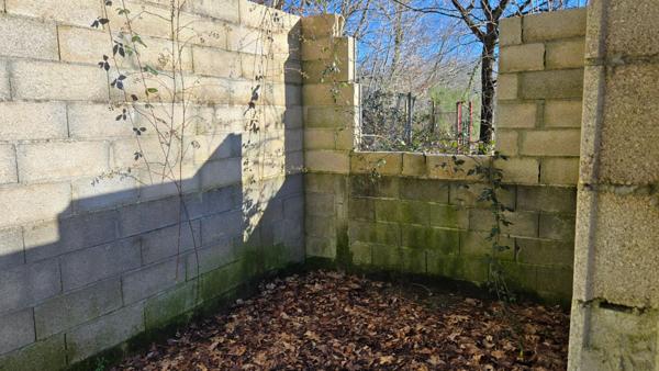 TERRAIN DE LOISIR AVEC CABANON + CHENIL 10 BOXES