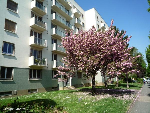 Appartement T1 à louer - 26 m² (réf : 559087)