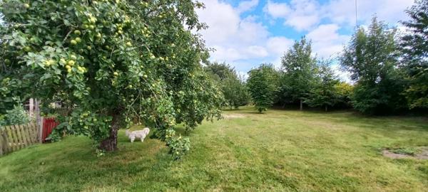 Maison à vendre à Plouvien dans le Finistère (29860), ref : 29162/2