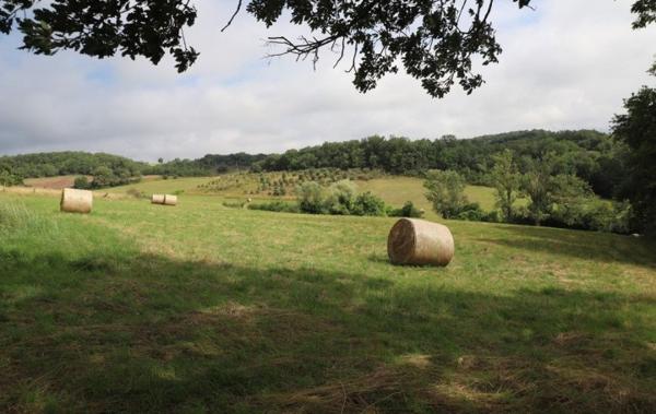 Vente Propriété 24 hectares Mirepoix   