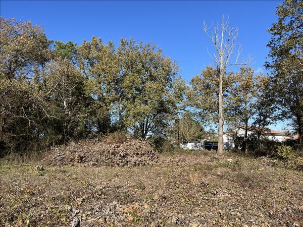 Terrain à vendre |  Muret |  770 m²