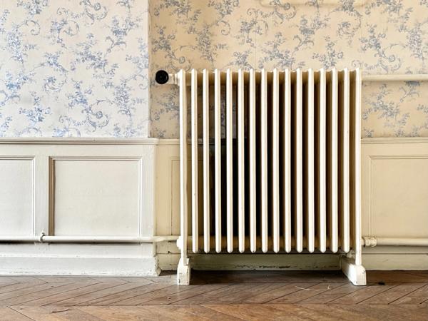 Appartement bourgeois T6 à rénover avec terrasse - CLERMONT FERRAND (63) Plateau Central - proche cathédrale.