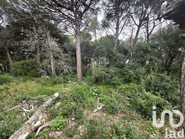 Terrain à vendre 20 000 m² Puget-sur-Argens