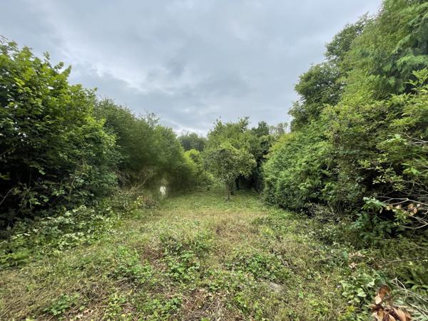 Pierrefonds (60350) Maison