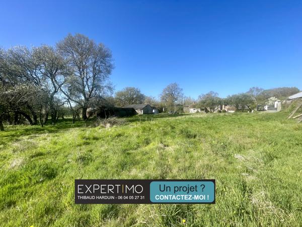 Saint-Hilaire-de-Chaléons (44680) Terrain 709 m² Saint-Hilaire-de-Chaléons
