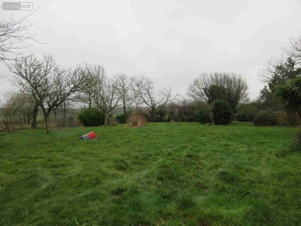 Maison à vendre à Plozévet dans le Finistère (29710), ref : 020/3631