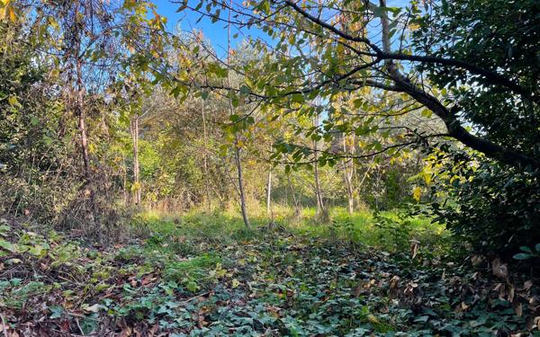 Maison à vendre    7 pièces •  Savasse