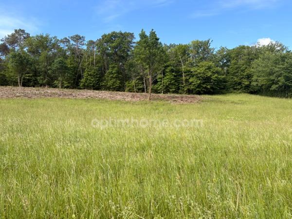 Terrain à bâtir situé à moins de 10 minutes de PERIGUEUX