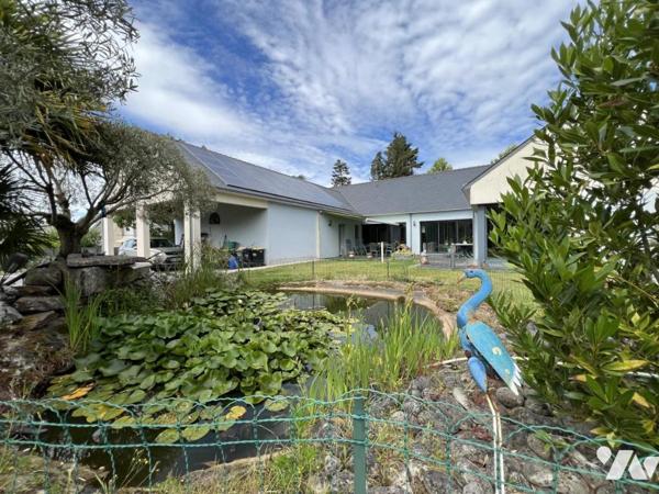 maison individuel d'architecte de plain-pied