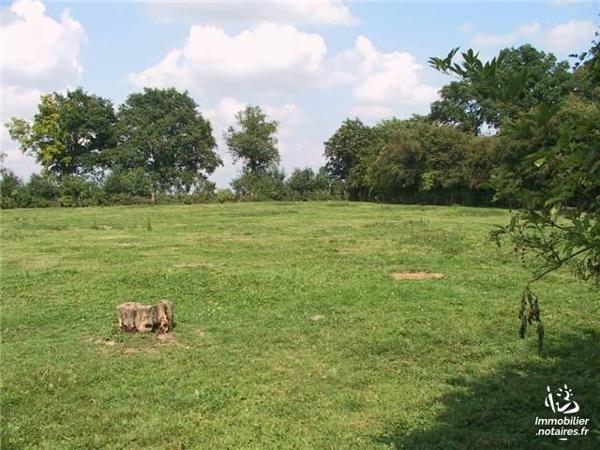 Terrains à vendre à BUSIGNY