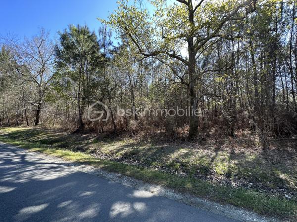 Terrain de loisirs de 31 450 m²