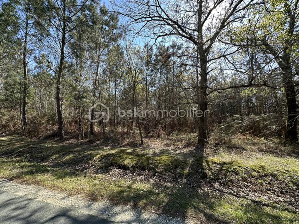 Terrain de loisirs de 31 450 m²