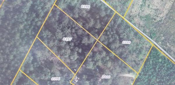 Achat - Terrain de loisirs, bois, étangs | Bois Brette-les-Pins 72250 1783 m 2