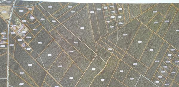 Achat - Terrain de loisirs, bois, étangs | Bois Brette-les-Pins 72250 1783 m 2