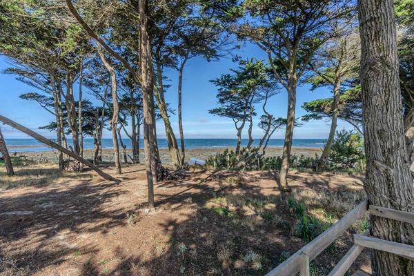 Face à l’océan, au coeur des pins maritimes
