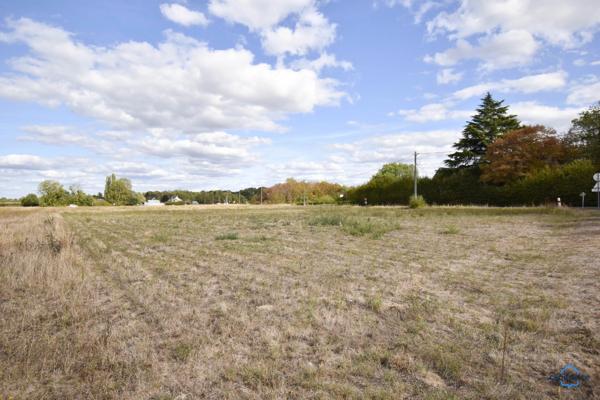 Terrain à vendre de 1 448,00 m² SASSAY (41)