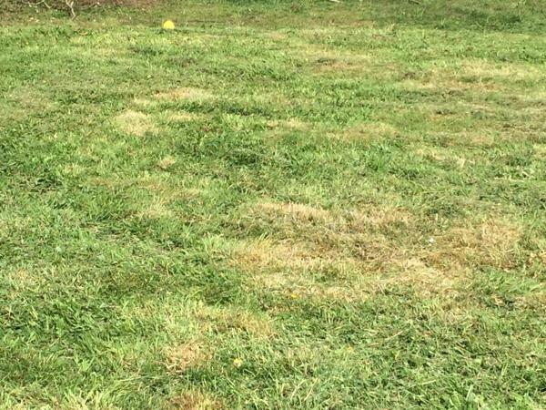 Terrain à vendre de 617,00 m² LE HOULME (76)