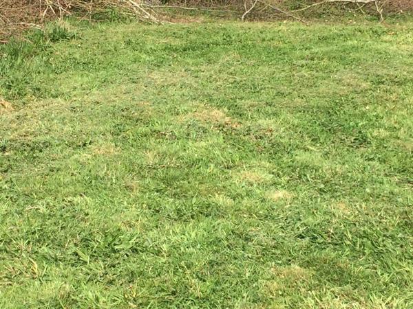 Terrain à vendre de 617,00 m² LE HOULME (76)