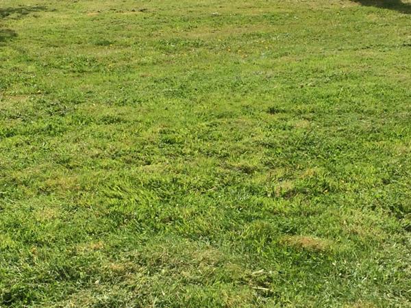 Terrain à vendre de 617,00 m² LE HOULME (76)