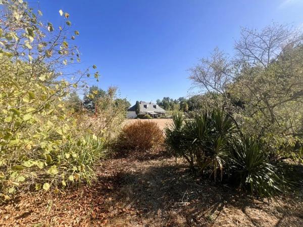 Achat - Maison Brissac Loire Aubance 49250 7 pièces 220 m 2 10422 m 2