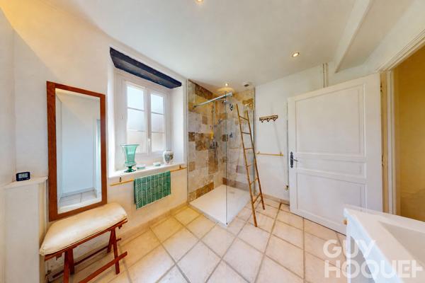 Belle propriété de caractère avec annexe et dépendance