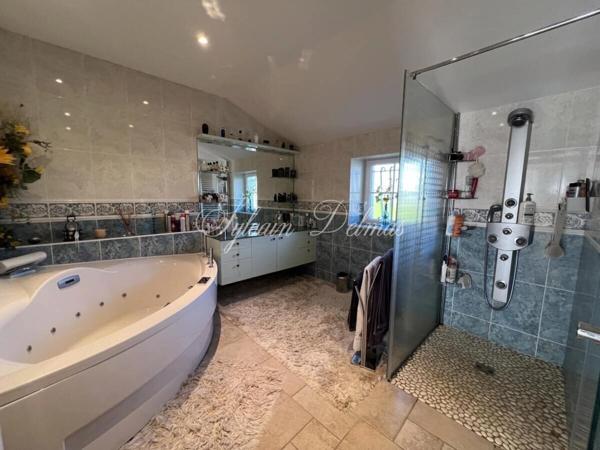 Maison à vendre 7 pièces proche de BLERE (37)