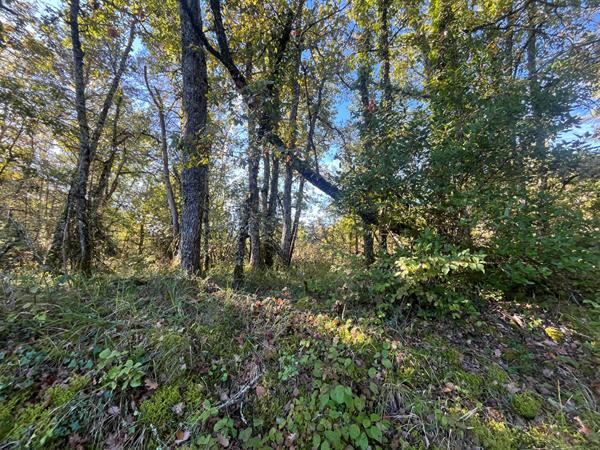 A VENDRE 13 hectares de Terrains Boisés commune du Change à Bassillac et  Auberoche
