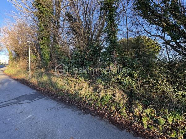 Terrain de 1 480 m²