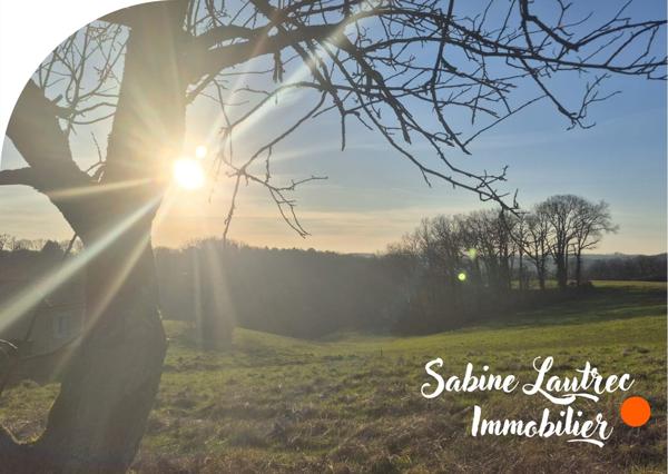 Réalmont (81120) Terrain coup de coeur sur les hauteurs