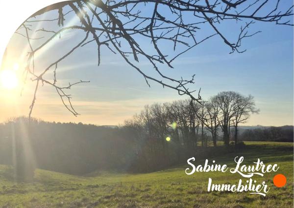 Réalmont (81120) Terrain coup de coeur sur les hauteurs