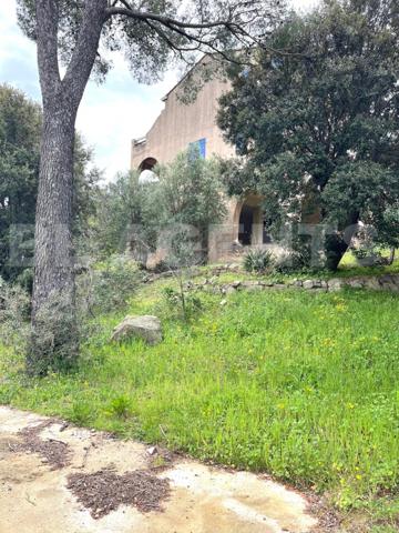 maison/villa 9 pièce(s) 224 m2