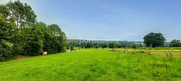 Vente TerrainTIREPIED SUR SEE (50870)
